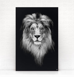 Wanddecoratie Schilderij Zebra