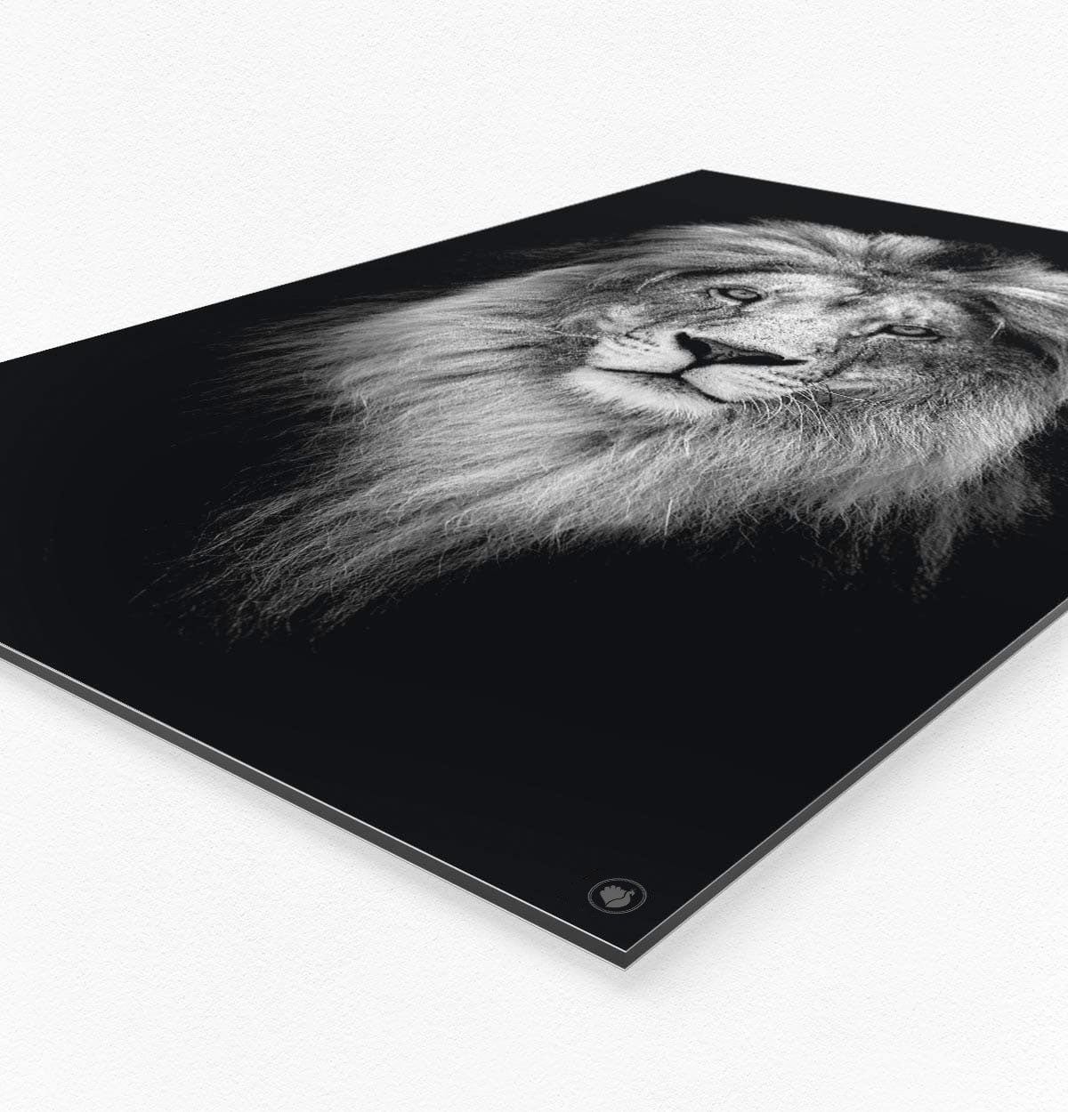 Wanddecoratie Schilderij Zebra