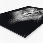 Wanddecoratie Schilderij Zebra