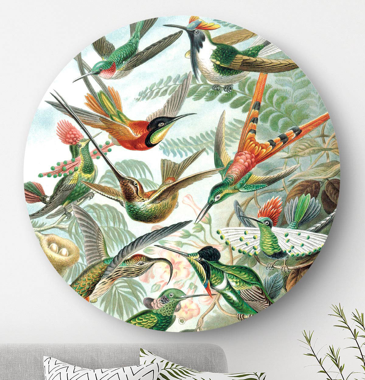 Wandcirkel HIPORGNL_Masters_Hummingbird_Front