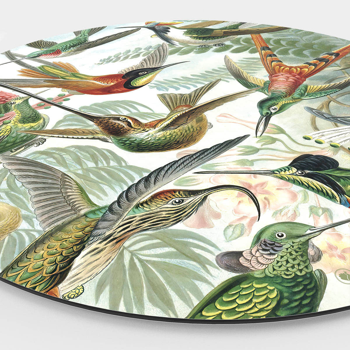 Wandcirkel HIPORGNL_Masters_Hummingbird_Front