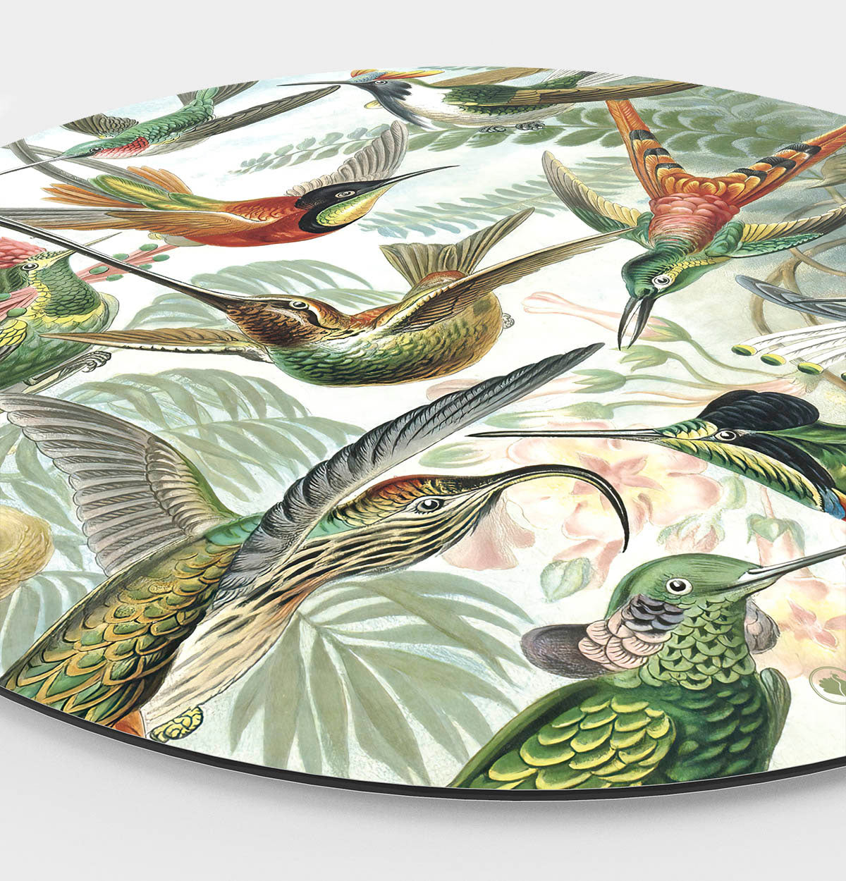 Wandcirkel HIPORGNL_Masters_Hummingbird_Front