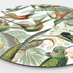 Wandcirkel HIPORGNL_Masters_Hummingbird_Front