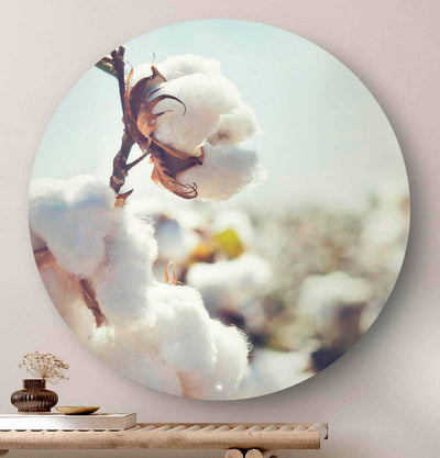 Cotton Field wandcirkel