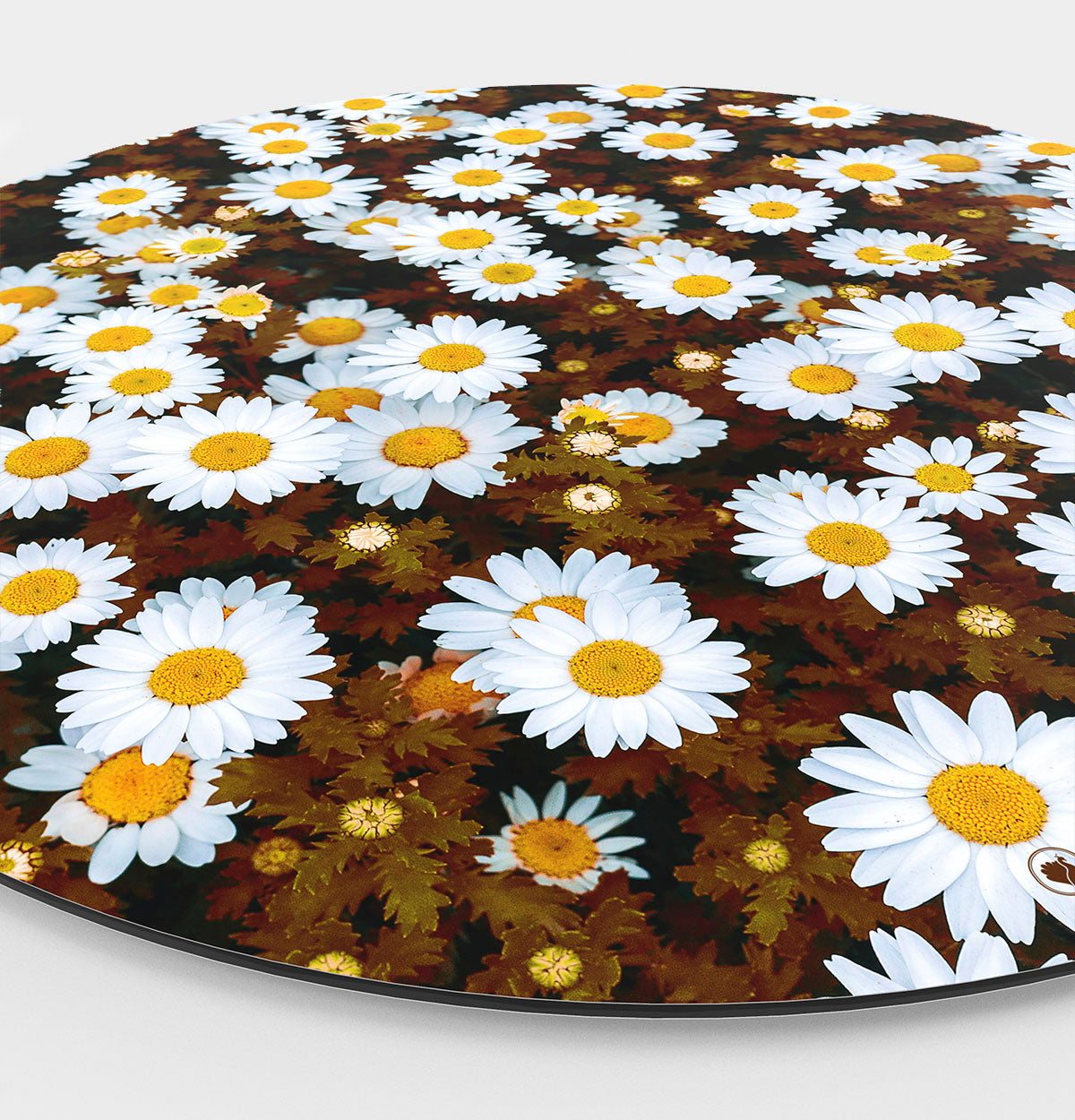 HIP ORGNL Daisies Wandcirkel Side