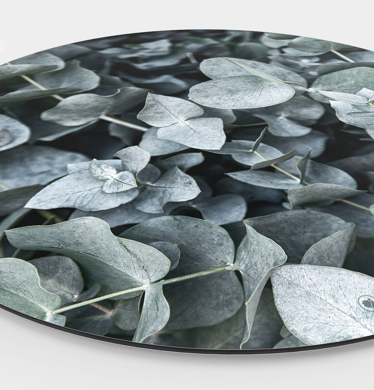 HIP ORGNL Naturals Eucalyptus Wandcirkel Side