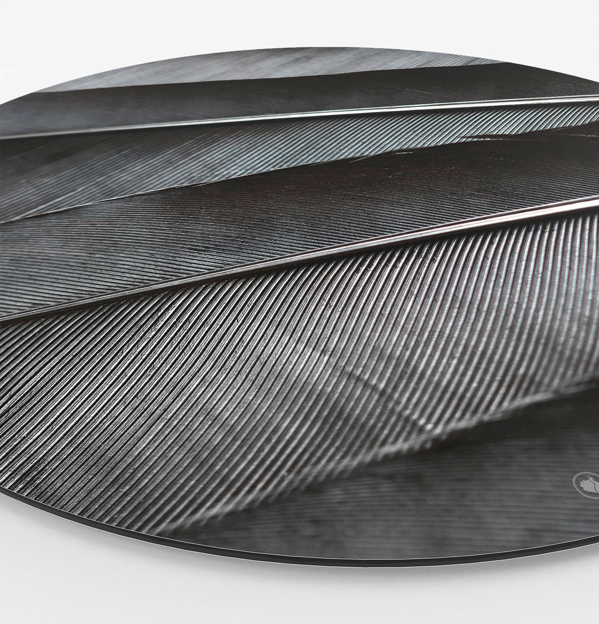HIP ORGNL Naturals Raven Feathers