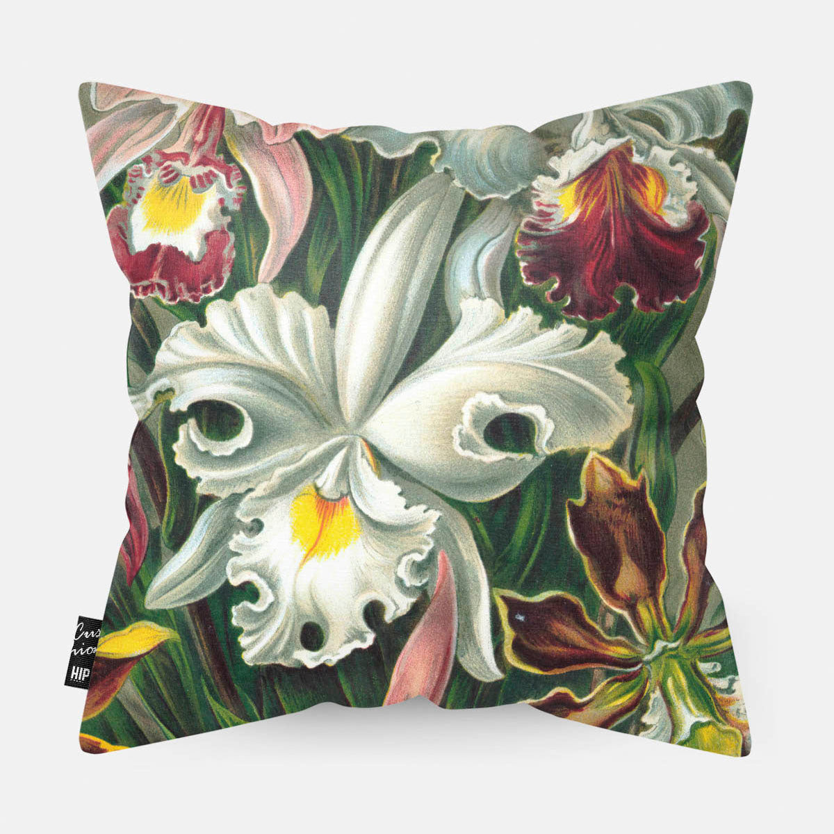 Kussen met schildering van orchidee erop afgebeeld.