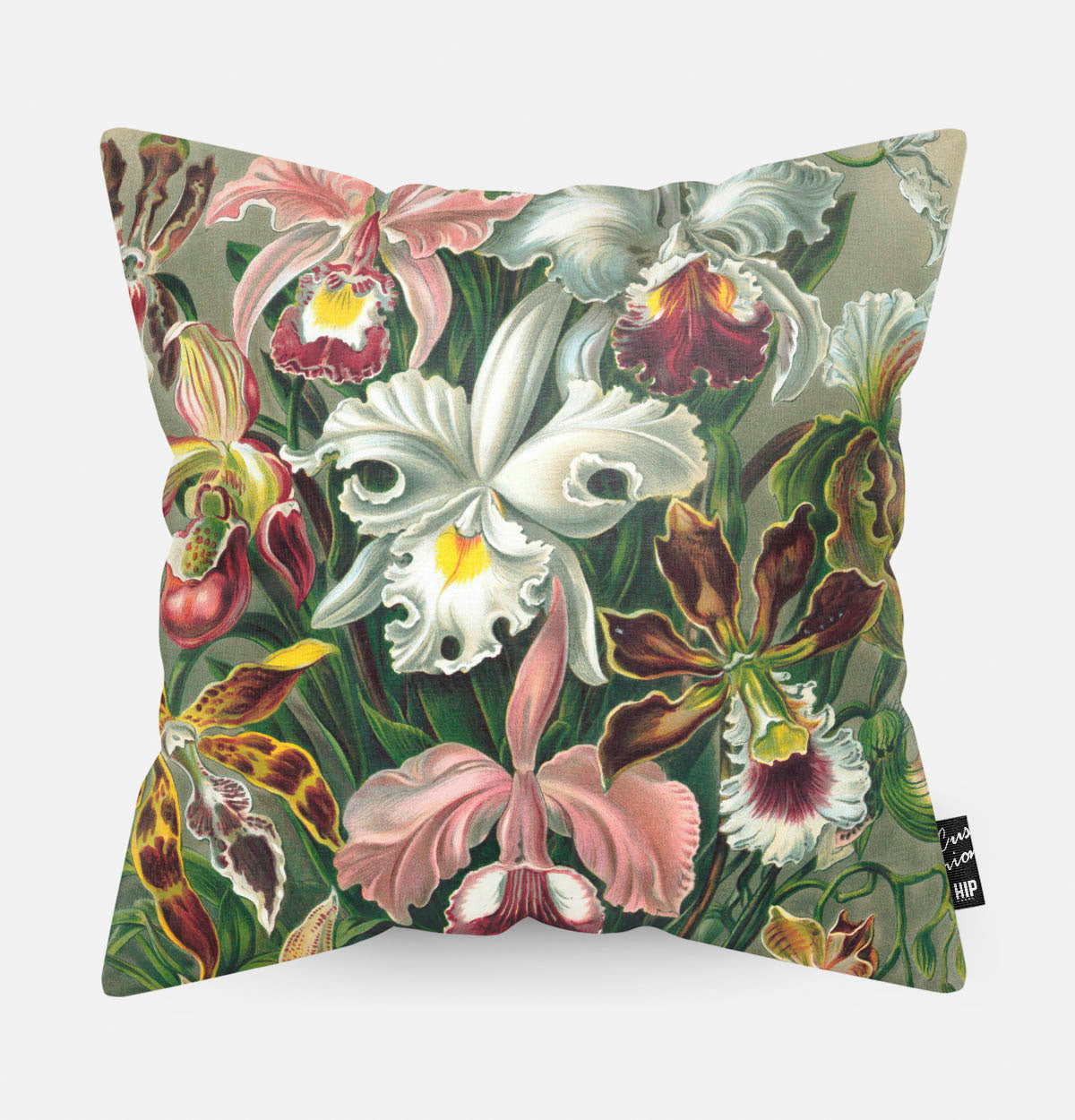 Kussen met schildering van orchidee erop afgebeeld.