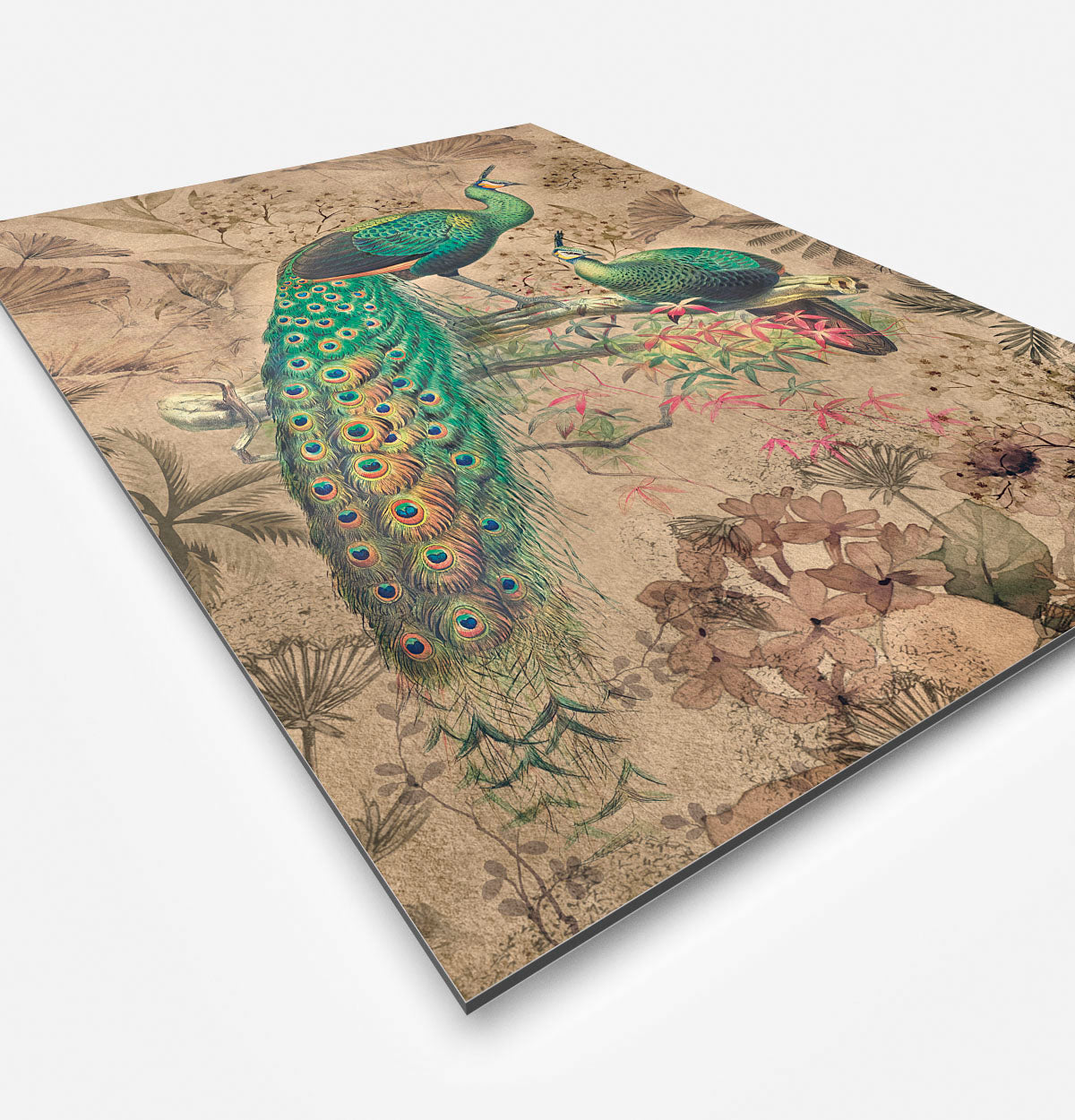 HIPORGNL_Peacock_Oriental_Side1