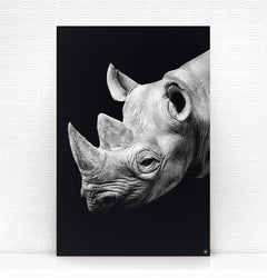 Wanddecoratie Schilderij Neushoorn