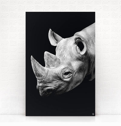 Wanddecoratie Schilderij Neushoorn