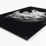 Wanddecoratie Schilderij Neushoorn
