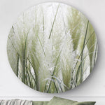 Wandcirkel HIPORGNL_White_Pampas_Grass