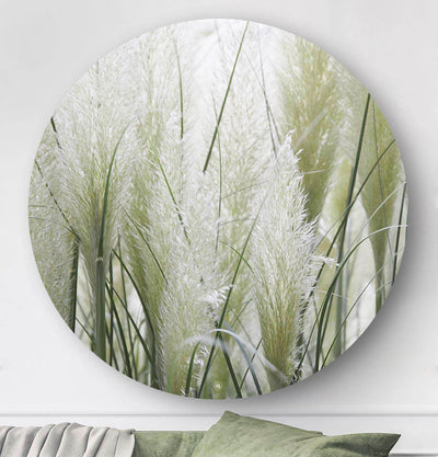 White Pampas Grass wandcirkel