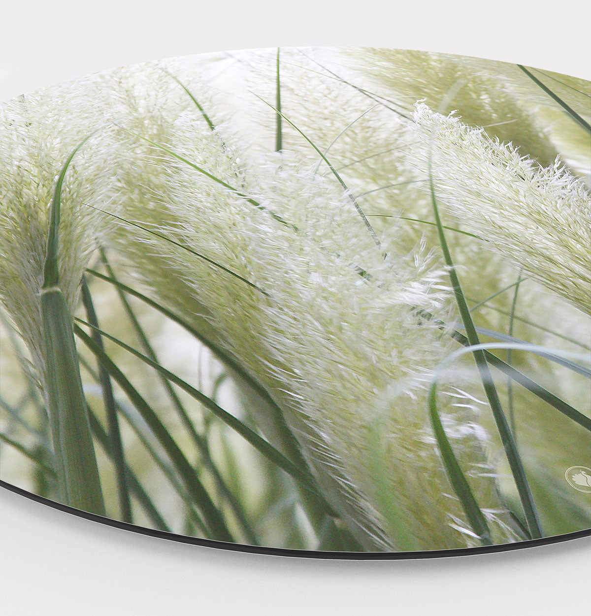 Wandcirkel HIPORGNL_White_Pampas_Grass_Side