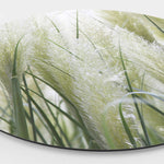 Wandcirkel HIPORGNL_White_Pampas_Grass_Side