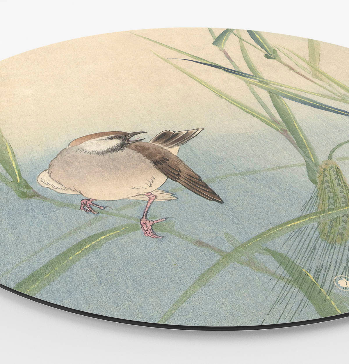 Wandcirkel HIP ORGNL Vogel en Vlinder Side