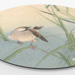 Wandcirkel HIP ORGNL Vogel en Vlinder Side