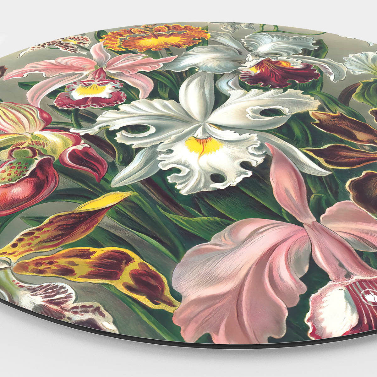 Wandcirkel met Orchidee erop Side