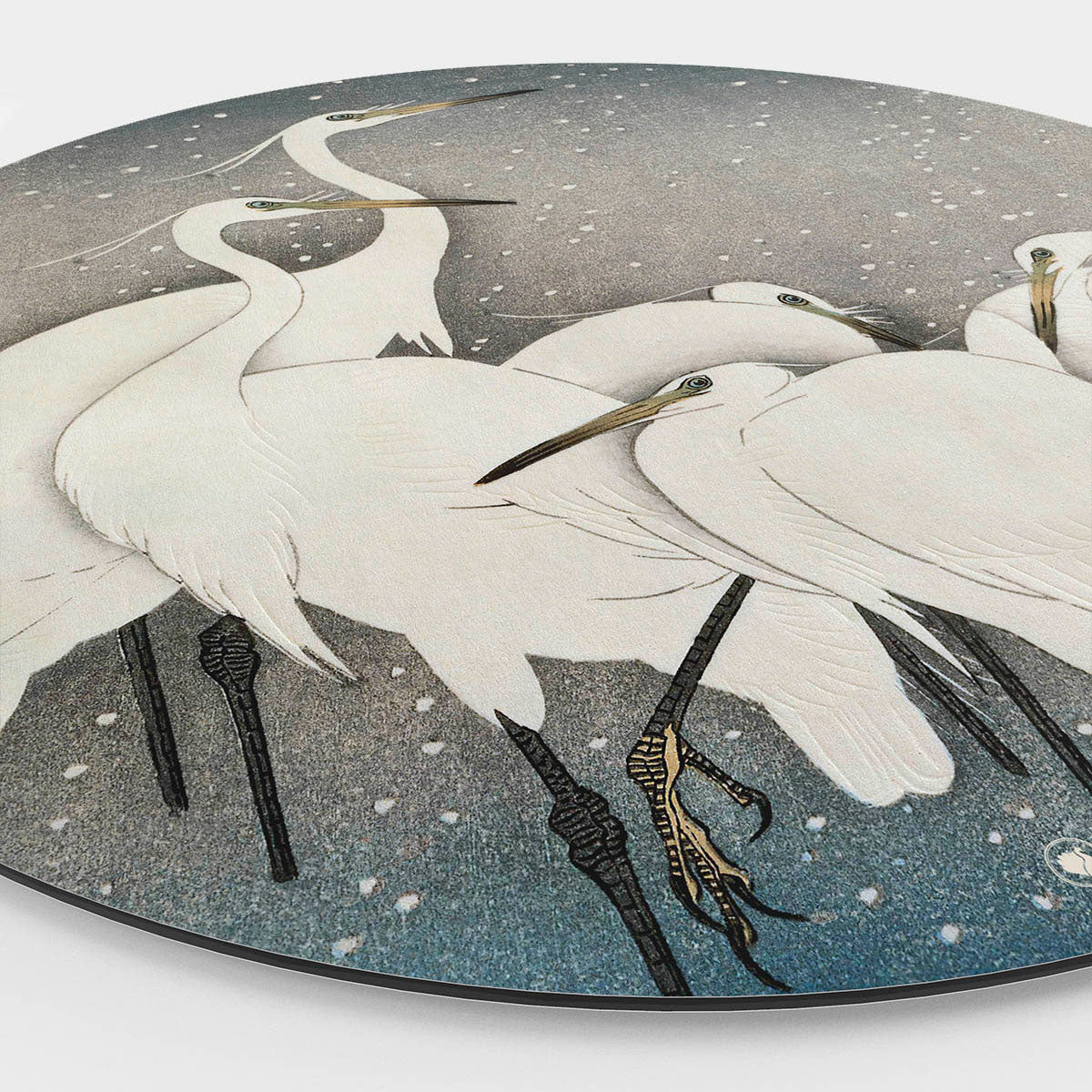 HIP ORGNL - Zilverreigers in moeras Side