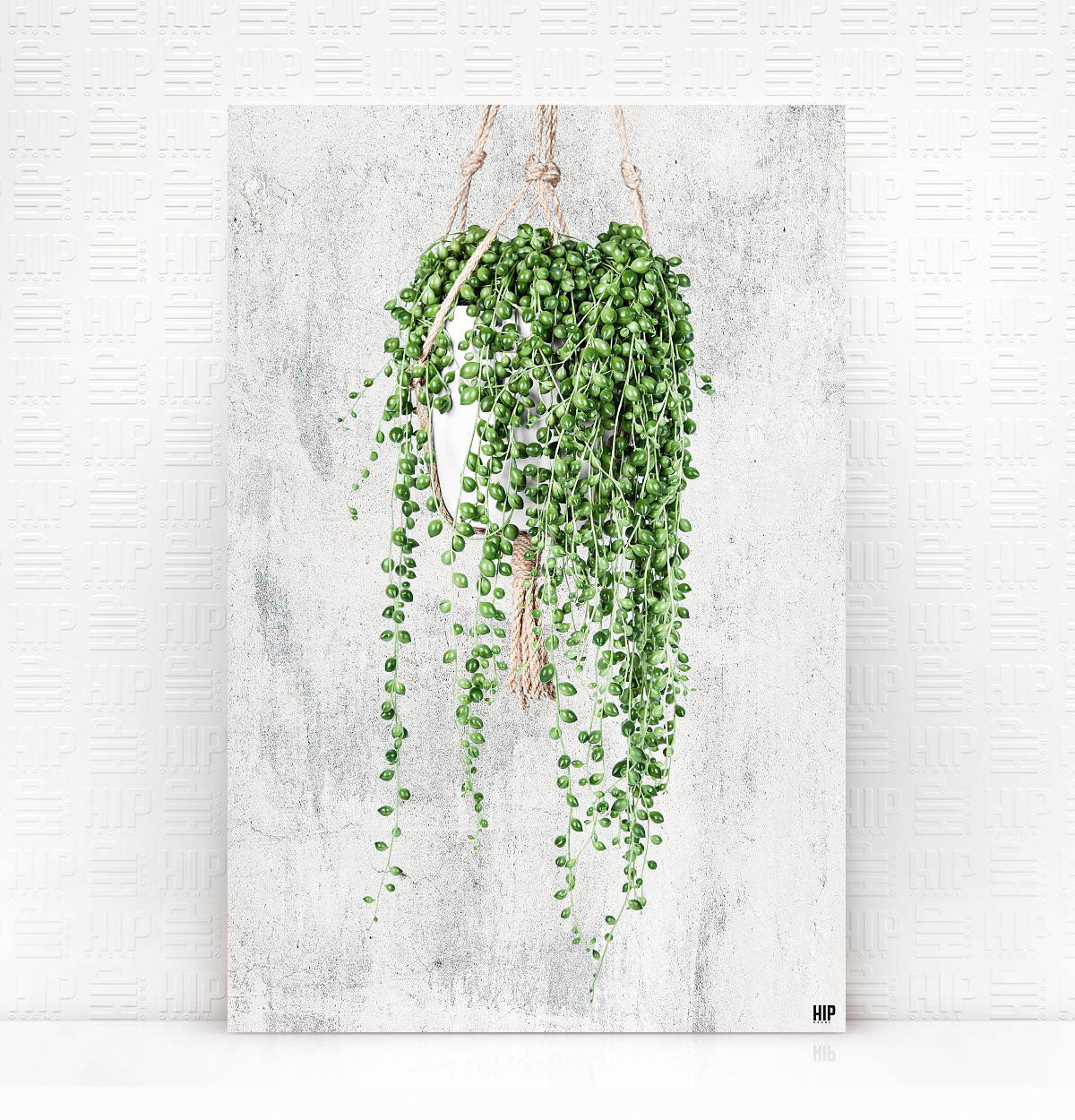 HIP_ORGL_PearlsRope_Grunge