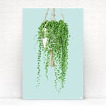HIP_ORGL_PearlsRope_Mint