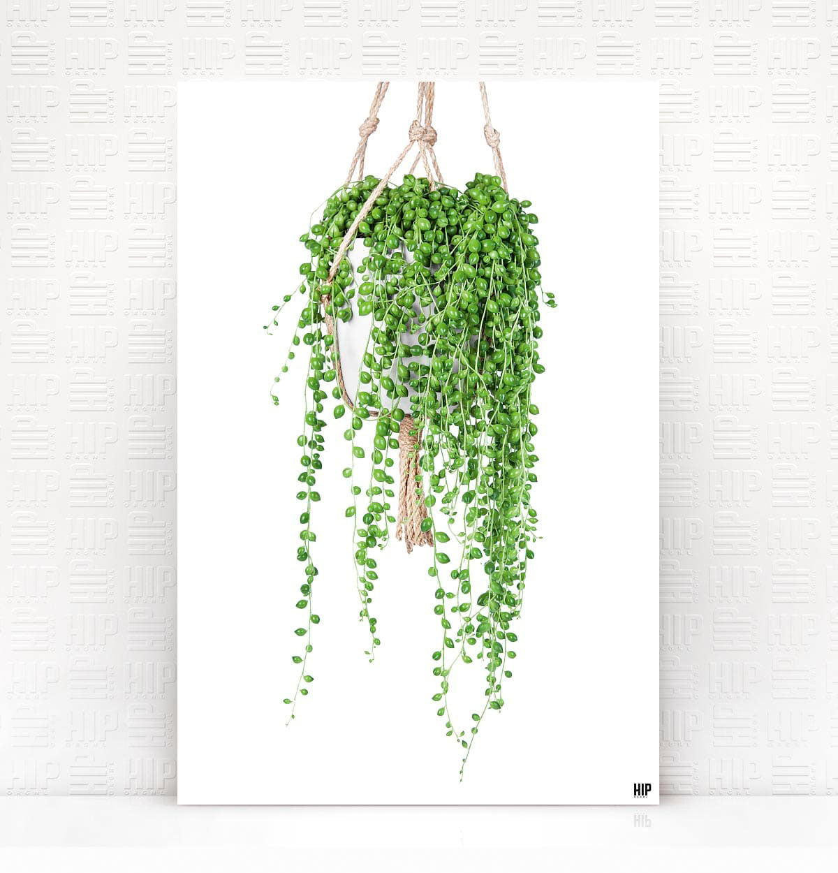 HIP_ORGL_PearlsRope_Wit