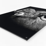 Vierkante wanddecoratie met steenbok erop zijaanzicht.