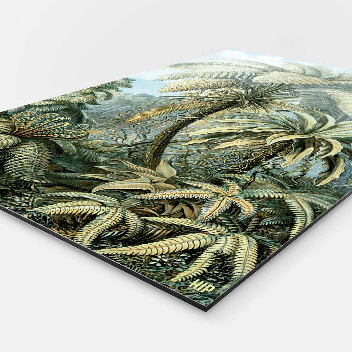 Vierkante wanddecoratie met botanische palmbomen erop.