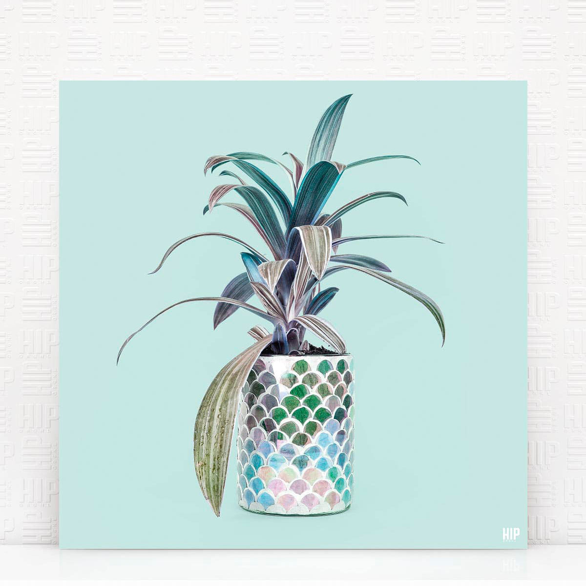 HIP_ORGNL_Casablanca_Mint