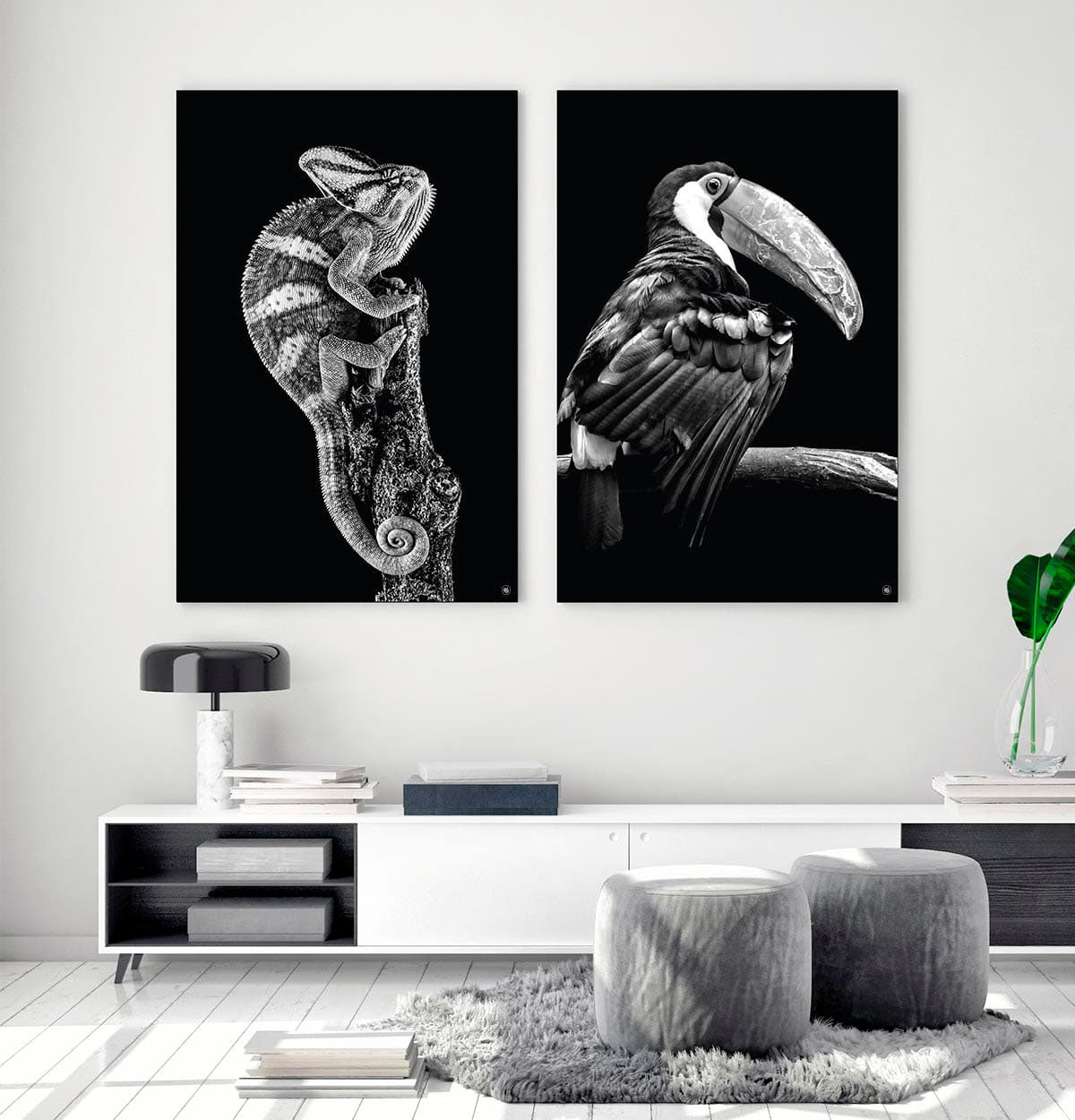 Wanddecoratie Schilderij Kameleon Toekan