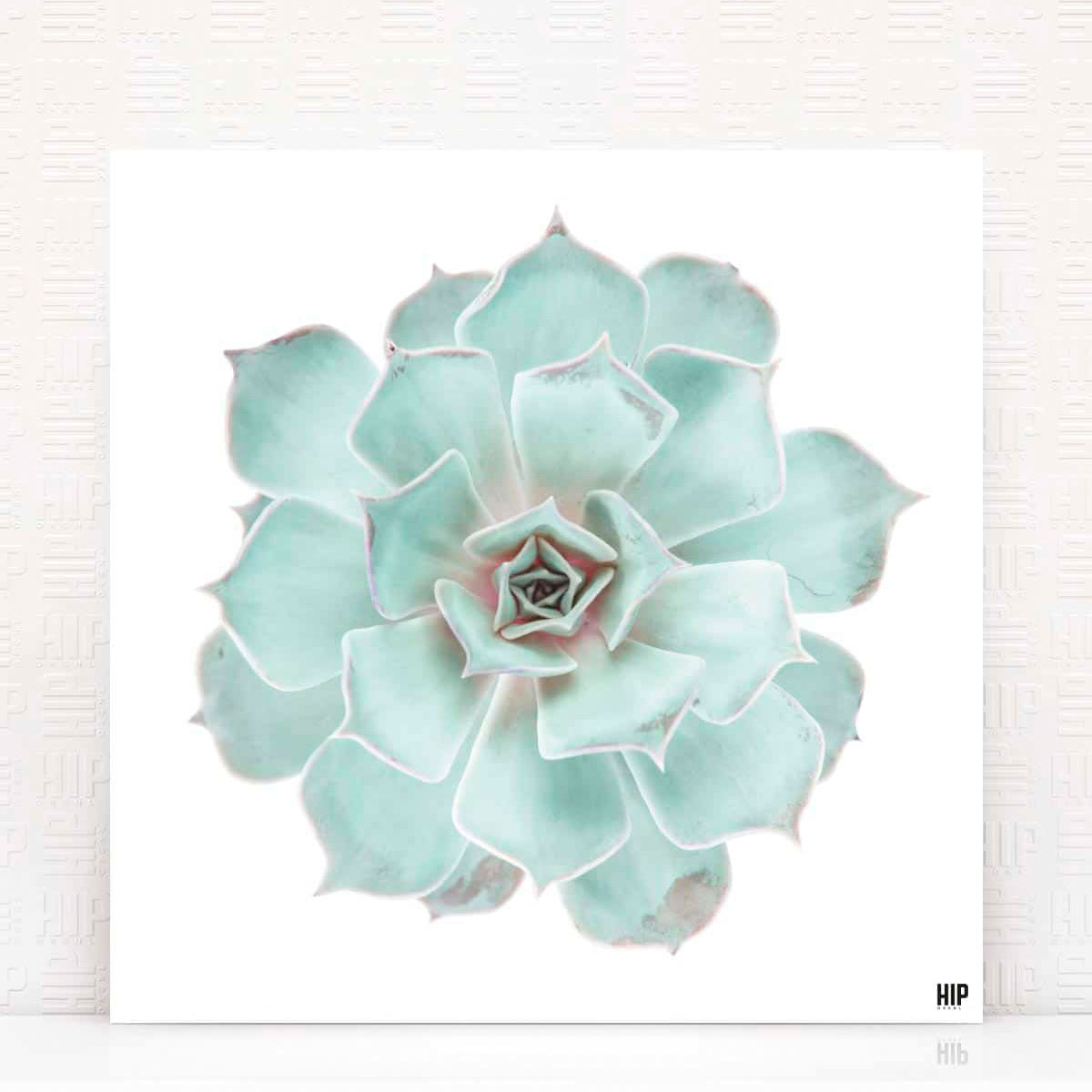 HIP_ORGNL_Diamond_Mint
