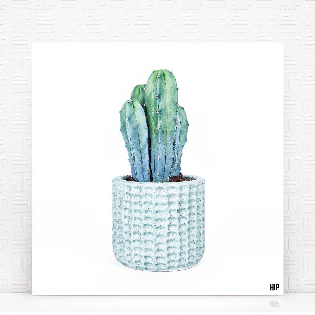 HIP_ORGNL_Geo_Candle_Wit