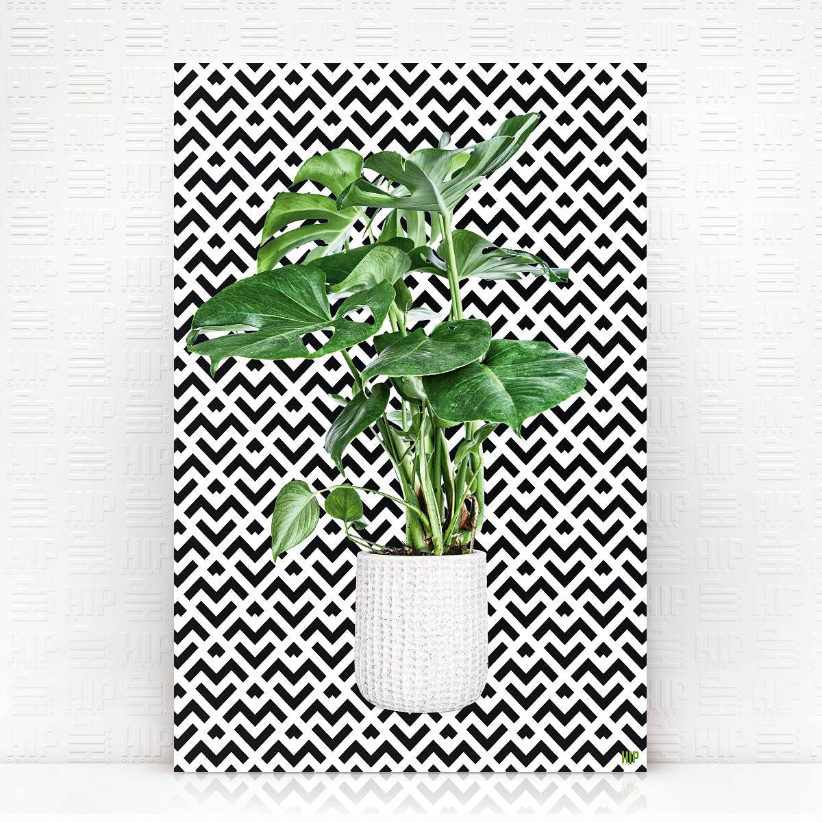 HIP_ORGNL_Holy_Leaf_Weave