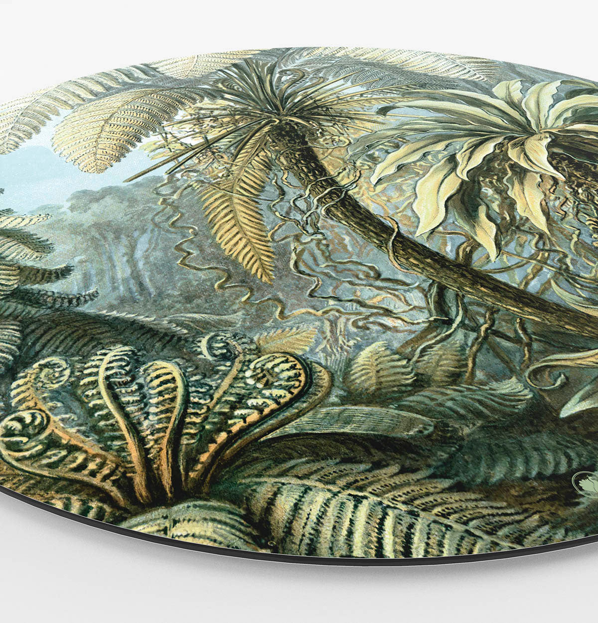 HIP_ORGNL_Masters_Botanisch-met-palmbomen_Side