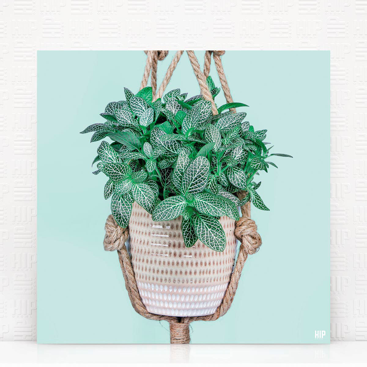 HIP_ORGNL_MosaicRope_Mint