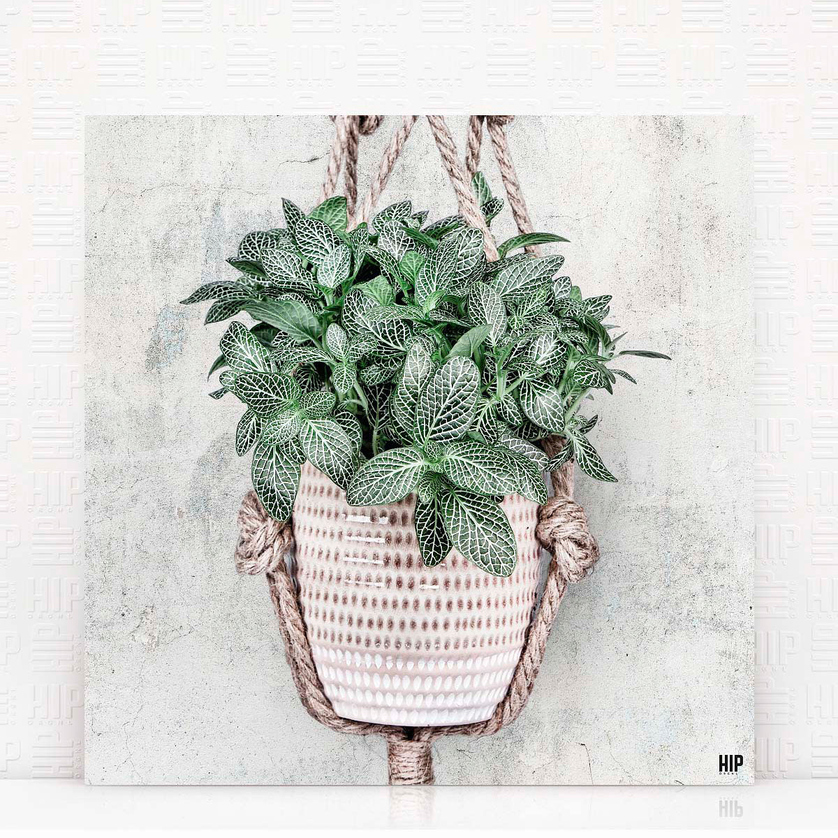 Vierkante wanddecoratie van een hangplant erop.