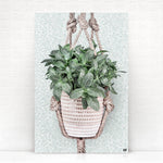 Vierkante wanddecoratie van een hangplant erop.