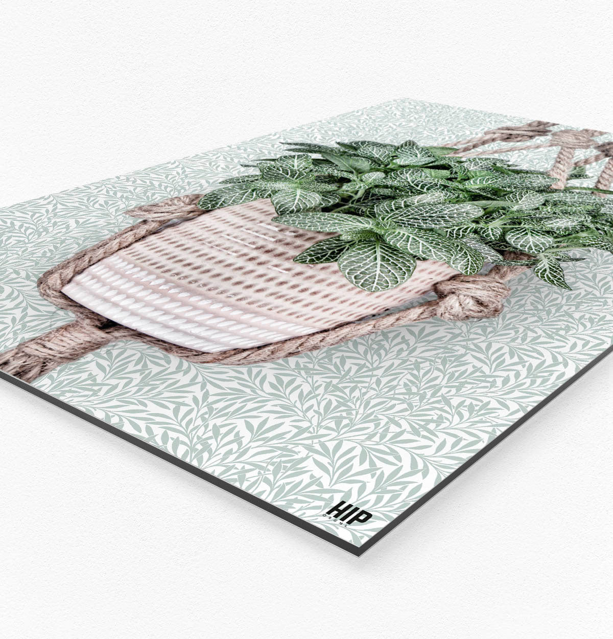 Vierkante wanddecoratie van een hangplant erop zijaanzicht.
