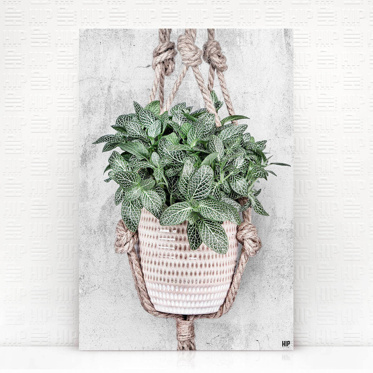 Vierkante wanddecoratie van een hangplant erop.