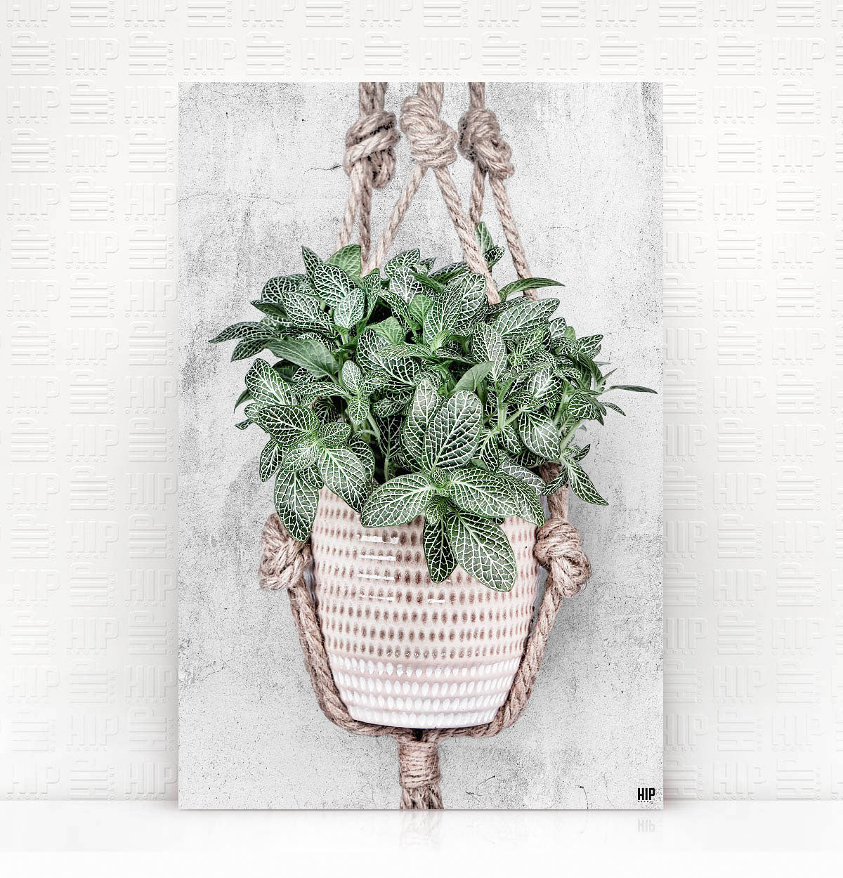 Vierkante wanddecoratie van een hangplant erop.