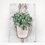 Vierkante wanddecoratie van een hangplant erop.