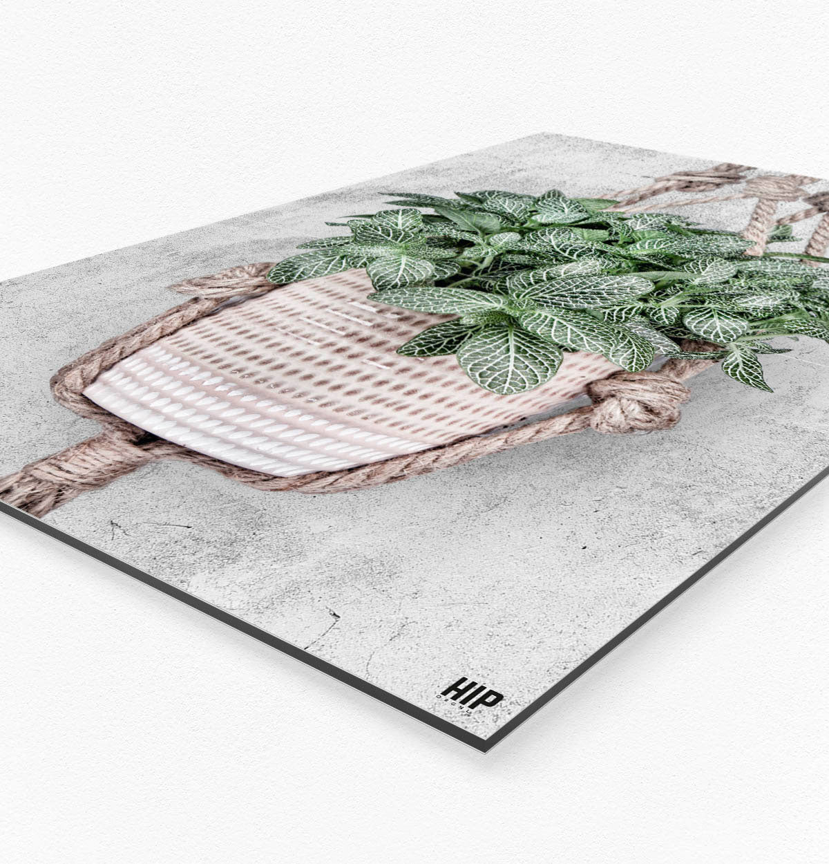 Vierkante wanddecoratie van een hangplant erop zijaanzicht.