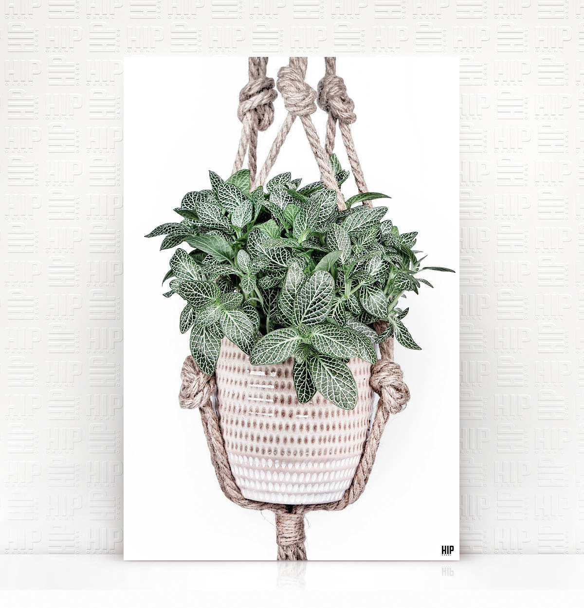 Vierkante wanddecoratie van een hangplant erop.