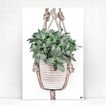 Vierkante wanddecoratie van een hangplant erop.