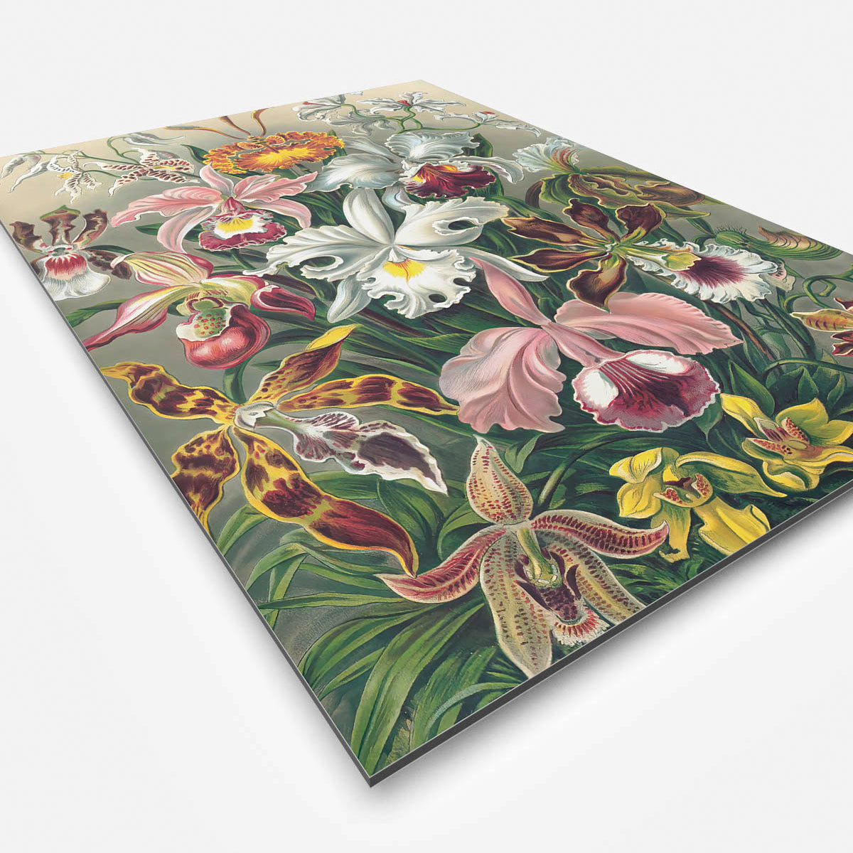 Vierkante wanddecoratie met kleurrijke orchideeën erop.