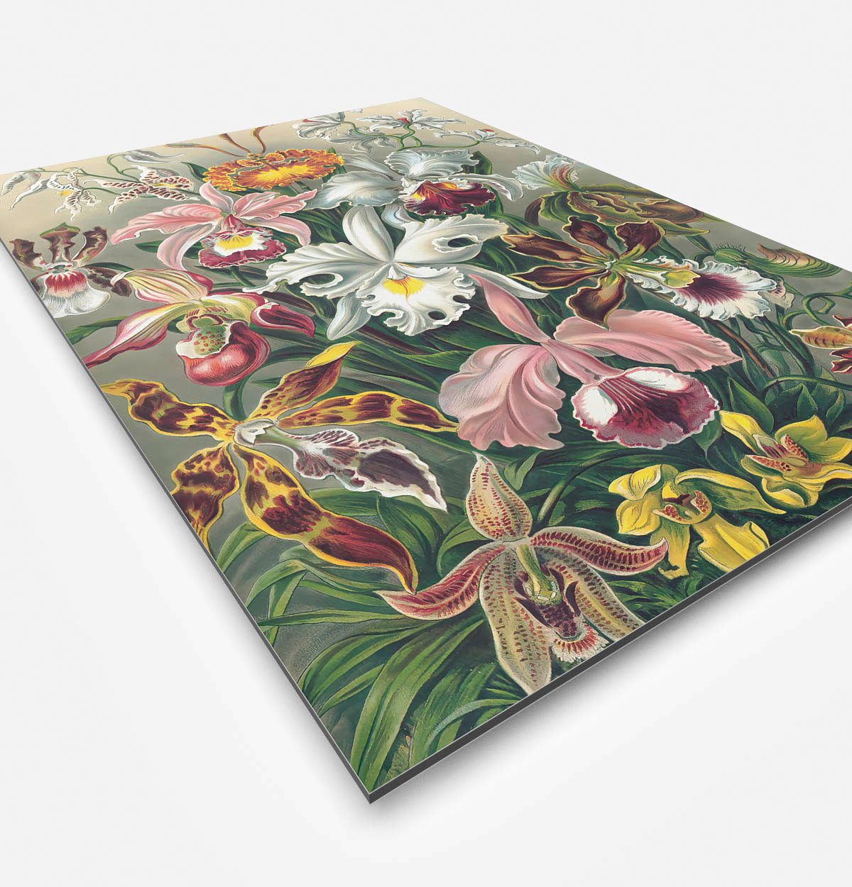 Vierkante wanddecoratie met kleurrijke orchideeën erop.