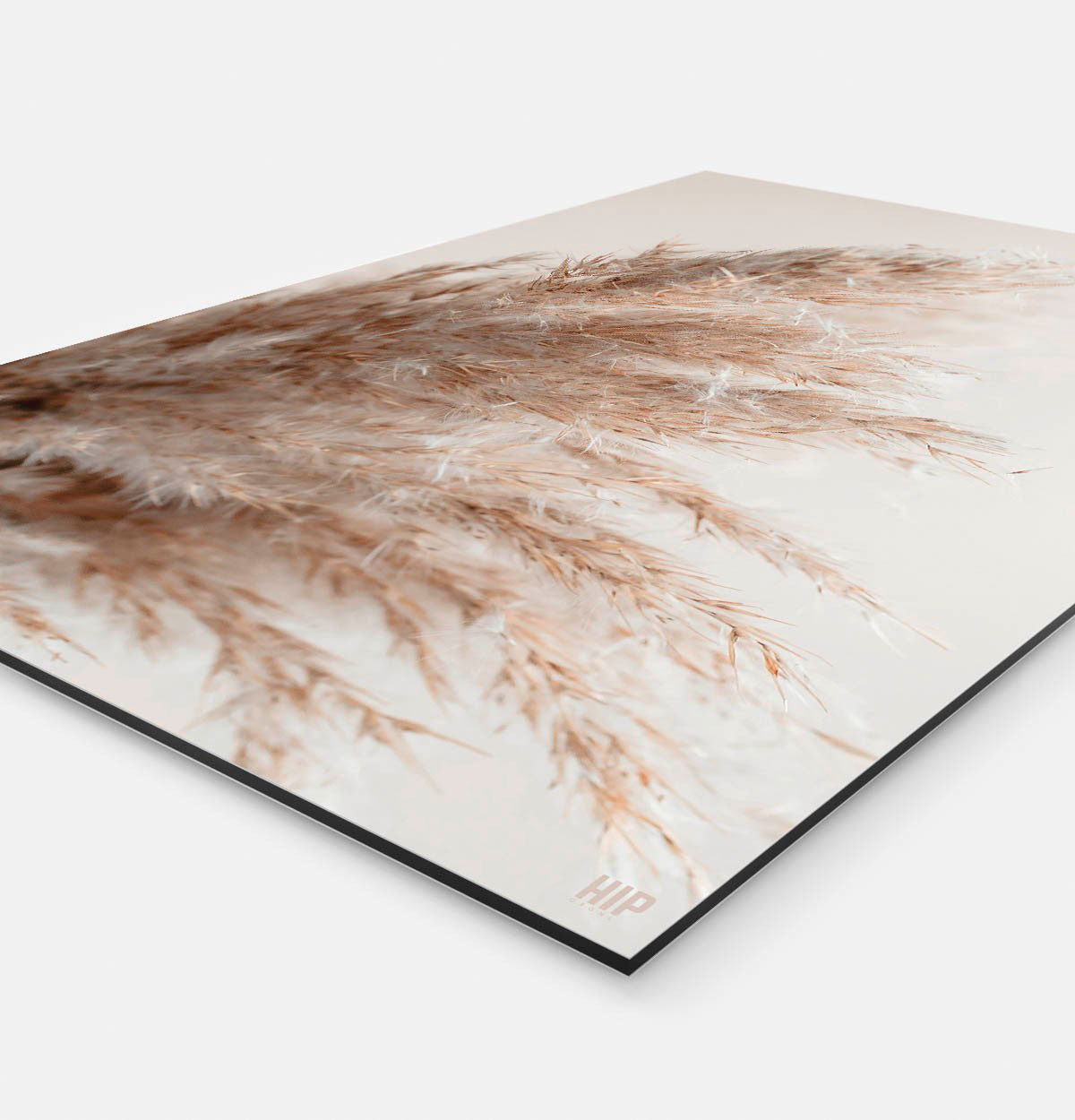 Vierkante wanddecoratie met pampas gras erop.