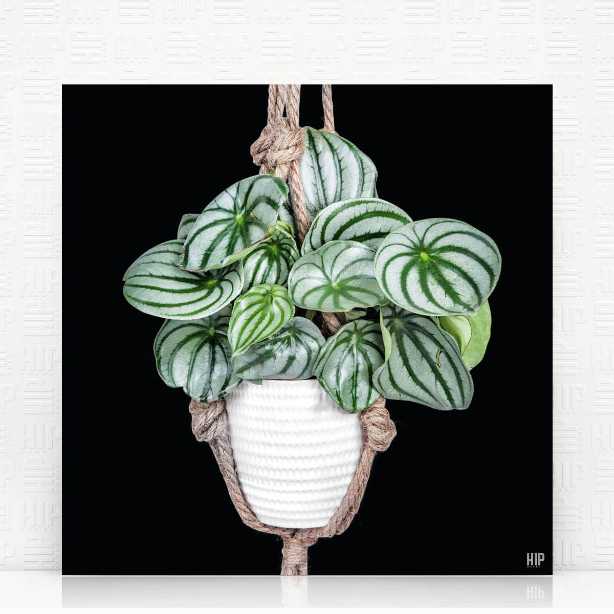 HIP_ORGNL_WaterMelonRope_Zwart